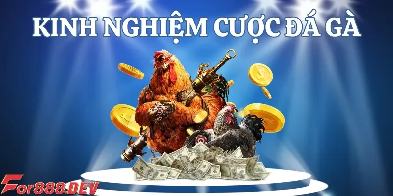 Muốn chiến thắng người chơi phải tham khảo các kinh nghiệm chơi đá gà từ cao thủ